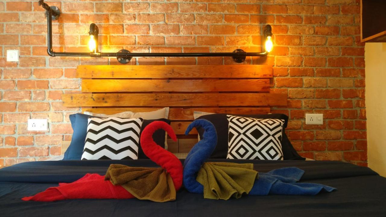 White Rabbit Guest House Νταραμσάλα Εξωτερικό φωτογραφία