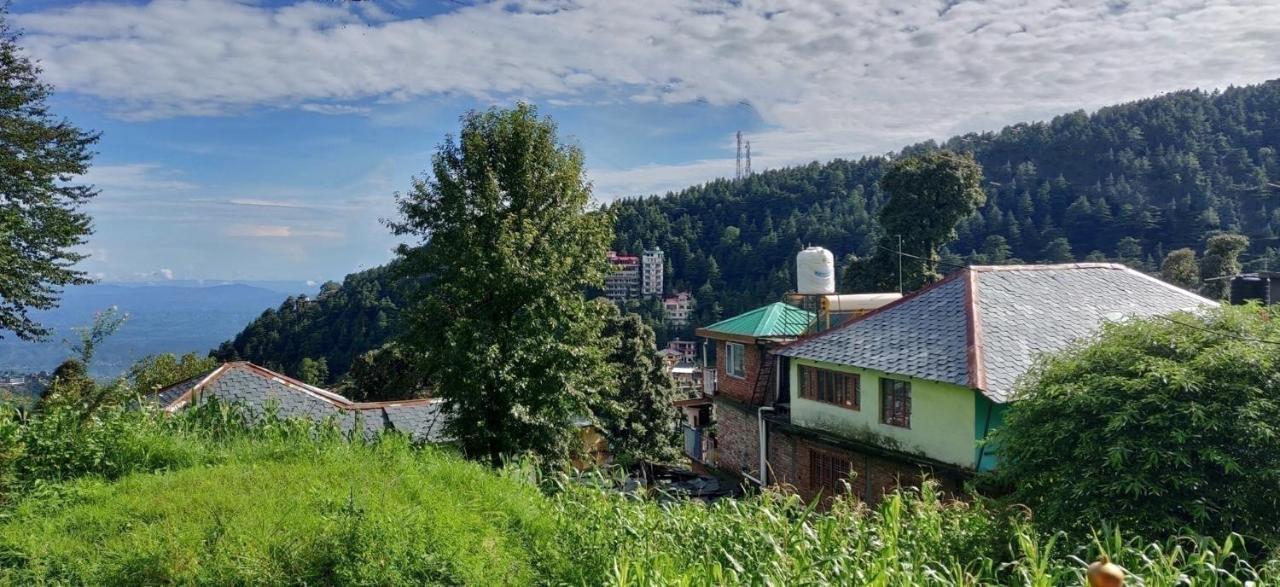 White Rabbit Guest House Νταραμσάλα Εξωτερικό φωτογραφία