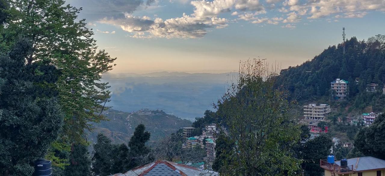 White Rabbit Guest House Νταραμσάλα Εξωτερικό φωτογραφία